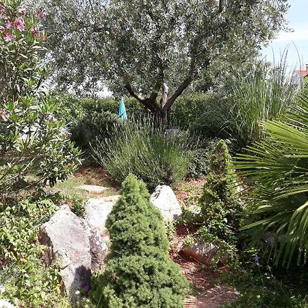 Ana Marija Apartments Porec Esterno foto